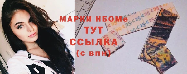 индика Володарск