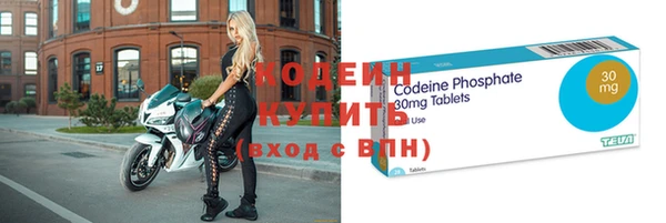индика Володарск