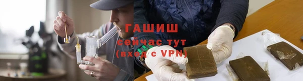 индика Володарск