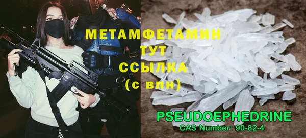 индика Володарск
