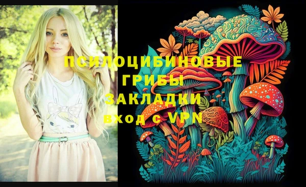 скорость Бородино