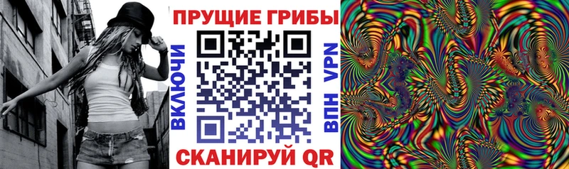 Галлюциногенные грибы MAGIC MUSHROOMS  как найти наркотики  Каневская 